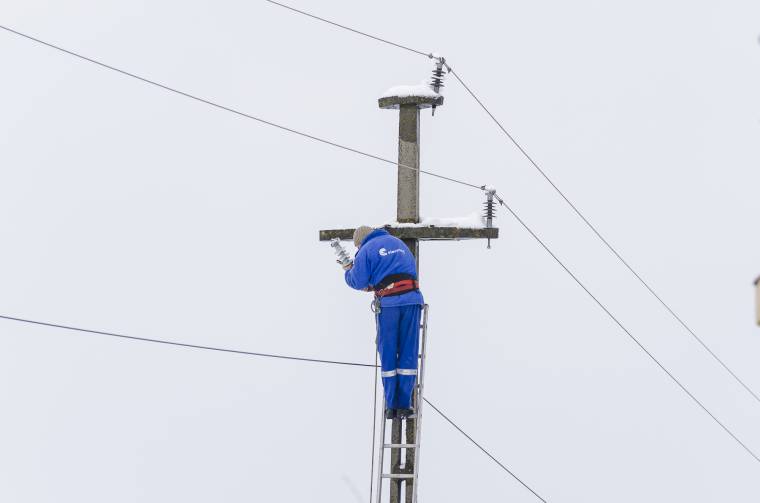 Vezetékre dőlt a fa, több ezer fogyasztó maradt áram nélkül Nyárádszeredában